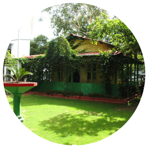 Baba Hut